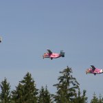 Pink Skyvan v historii